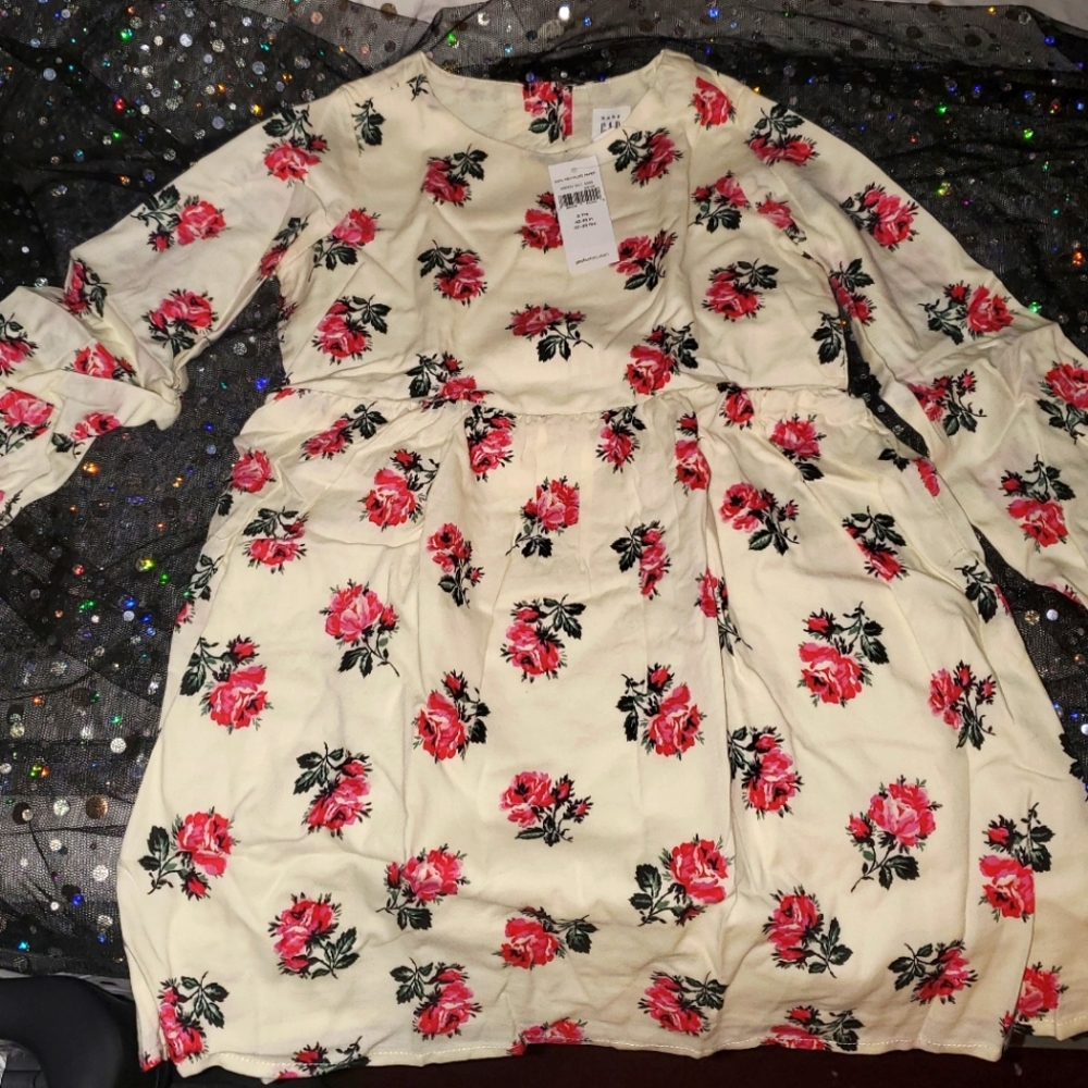 Baby Gap Dress for Little Girl With Roses 🌹